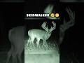Skinwalker Disguised As Animals Animals Shorts Skinwalker Scary Skinwalkers