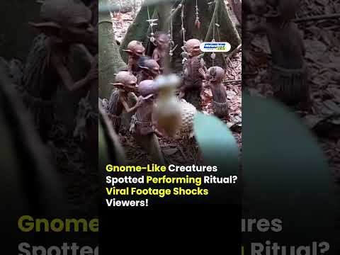 Gnome Like Creatures Spotted Performing Ritual Viral Footage Shocks Viewers!