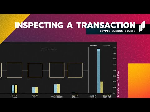 Inspecting a Transaction - The Crypto Curious Course - Part 11/16