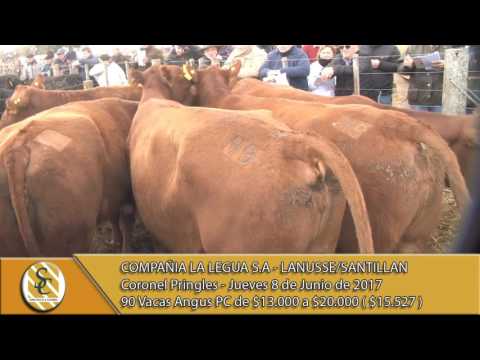 08-06-17 - Venta de Vacas A.Angus PC. - Compania La Legua S.A. - Lanusse/Santillan - C.Pringles