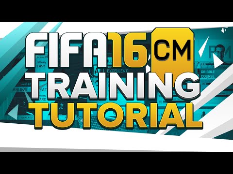 FIFA 16 CAREER MODE TRAINING TUTORIAL FOR CENTRE MIDFIELDERS!