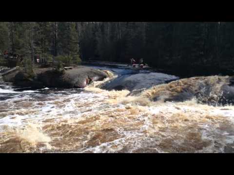 15 05 10 Pink ElephantL OK TPV