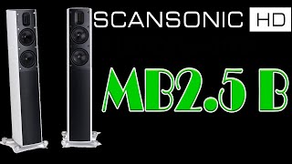 Scansonic HD MB2.5 B Black - відео 1