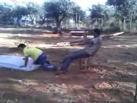 Quinta da Amizade - Frandina (Estremoz)