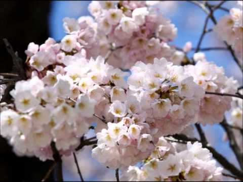 Radmila Jagodić - Ćerko moja ćerkice