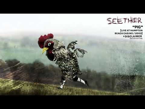 Videoclip de Pig (Live At Hampton Beach Casino / 2003) — Seether