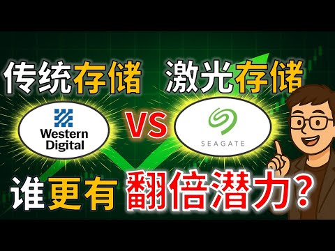 AI 数据存储之争| WDC vs STX ：谁更有机会成为十倍股？ Seagate vs Western Digital