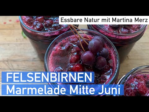 Marmelade von der FELSENBIRNE Mitte Juni – auch toll zu Käse oder Fleisch
