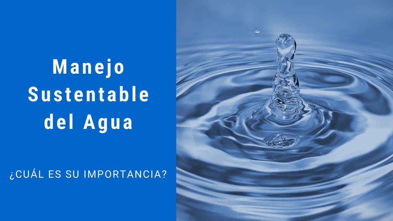 Manejo Sustentable del Agua 💧