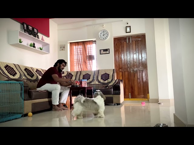 Judge.me YouTube video placeholder