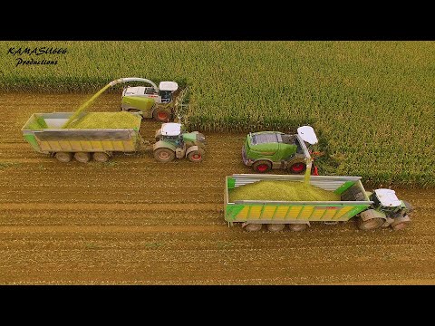 Fendt Katana VS. Claas Jaguar / Wintmolders / Mais 2019 / Maize / Corn Harvest / Fendt / Maïs 2019