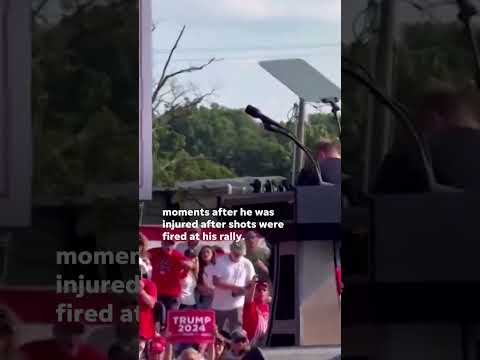 Eyewitness video captures Donald Trump moments after shooting Shorts