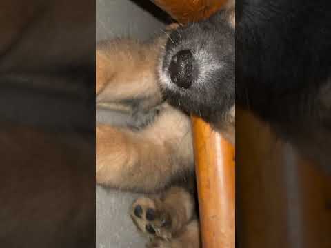 Eres el único y verdadero amor de mi vida! Te amo para siempre Lucasito Junior💕