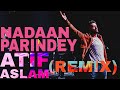 Atif Aslam - Nadaan Parindey (DJ CHETAS REMIX)[OFFICIAL]