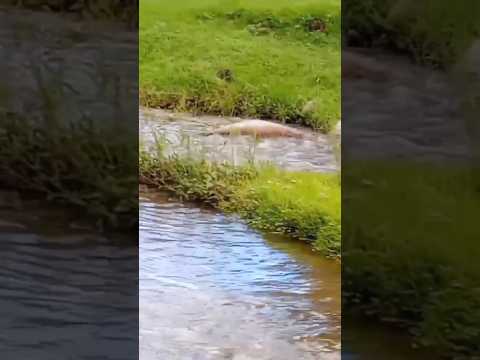 Casa Grande, Punilla, Córdoba, Argentina.#casagrande