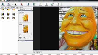 Photostage (free edition) Tutorial #3