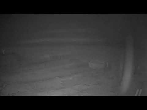 Pelican Beach Resort Destin, FL live webcam