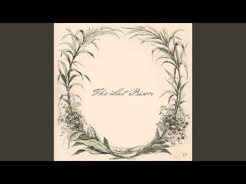 Distance - The Last Bison