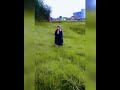 Yeh Dil Aur Unki Nigahon Ke Saye Song
