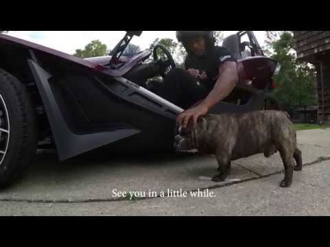 The Take: Episode 1 (7-Year Anniversary Issue | Bully Girl Magazine)