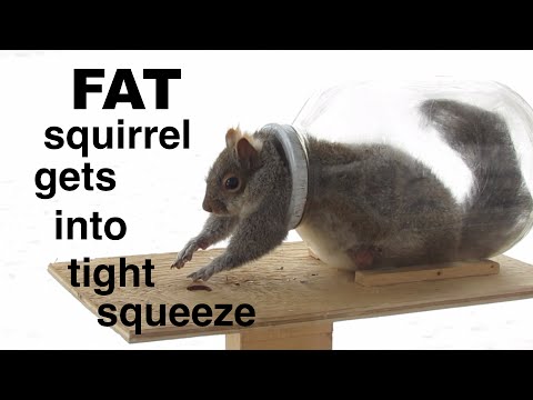 download lagu mp3 mp4 Trapped Inside Your Diameter, download mp3 Trapped Inside Your Diameter free downloadn, video klip Trapped Inside Your Diameter