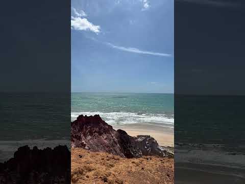 Jequiá da praia Alagoas.