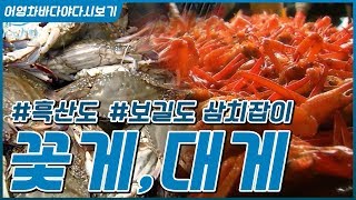 바다의맛을 그대로 간직한 밥도둑 꽃게,대게