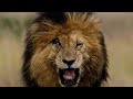 Manamey Movie In Tamil Dubbed Hd Comedy Movie
