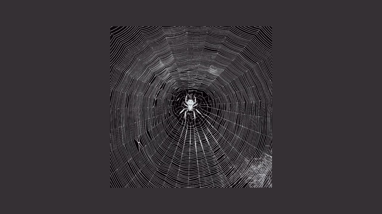 TMA: The Web Playlist 