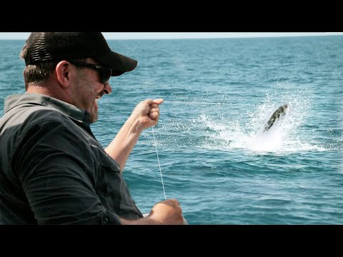 POISSON COQ à la ligne à main ! - Cyril Chauquet