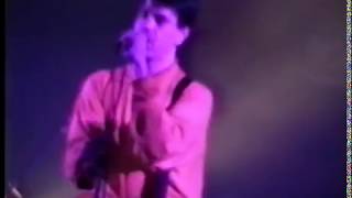 Don't Talk, Just Kiss and Box Elder