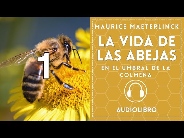 Vídeo relacionado con Florindo a Vida Urbana: Abelhas e a Revolução Verde nas Cidades (Portuguese Edition)