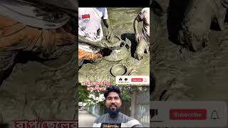 Father and son hunting catfish in the mud.#fisherman #fishing #youtubeshorts #shorts #shortsfeed