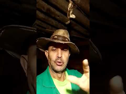 19 de julho dspc ocotrim ojarineiro di senador Canedo go 🤠🐕‍🦺e 2026