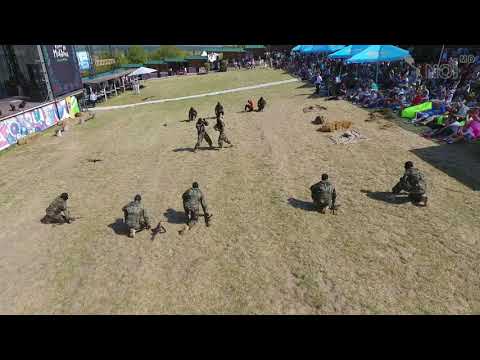 «Fulger» – такими вы их еще не видели