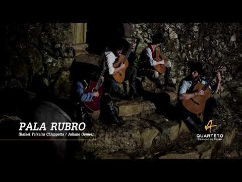 Pala Rubro video