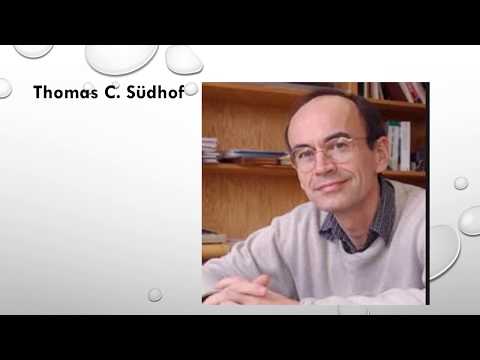 Daily Dose Of Motivation 248 Thomas C  Südhof
