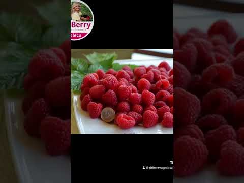 Dr Agnieszka Orzeł i jej maliny- DELNIWA w opinii producentów