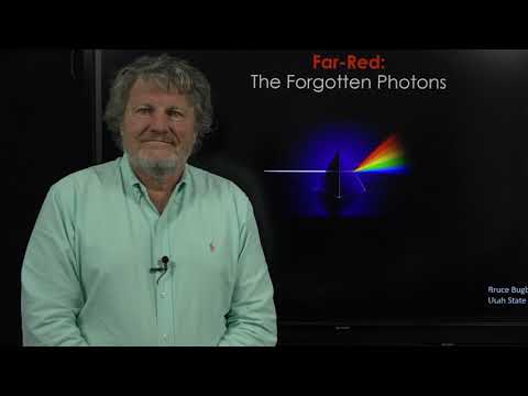 Far-red: The Forgotten Photons