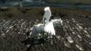 Обзор модов для Skyrim. Когда все очень плохо. #1