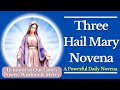The 3 Hail Mary Novena A Powerful Daily Novena