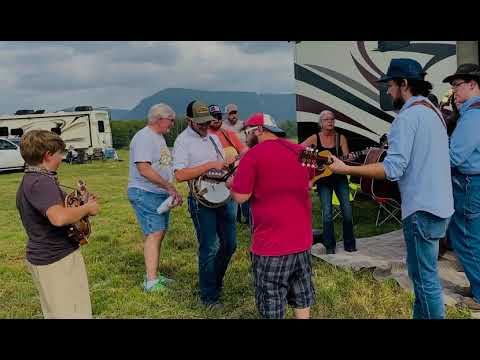 My First Bluegrass Festival