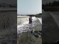 Garmi Ka Mausam Status Best Place For Summer Season Summer Waterfall Shorts
