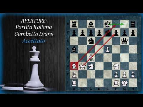 Chess Openings 29 - Evans Gambit - Accepted, Rejected