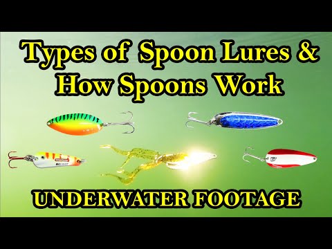 Types of Spoon Fishing Lures and How They Work Underwater - spoon fishing tips and history