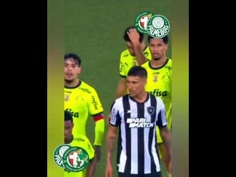 Botafogo 3x4 Palmeiras maior virada dos últimos anos  campeonato brasileiro #brasileirão #palmeiras