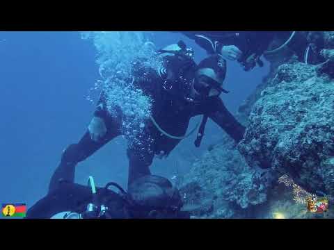 Nova Caledônia - Ilha de Pines - Kunie Scuba Dive - 4 de janeiro de 2023 segundo mergulho - Jardin D'Eden