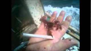 "One Day At A Time" - Music Video