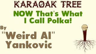 Weird Al Yankovic - NOW That&#39;s What I Call Polka! [Karaoke]