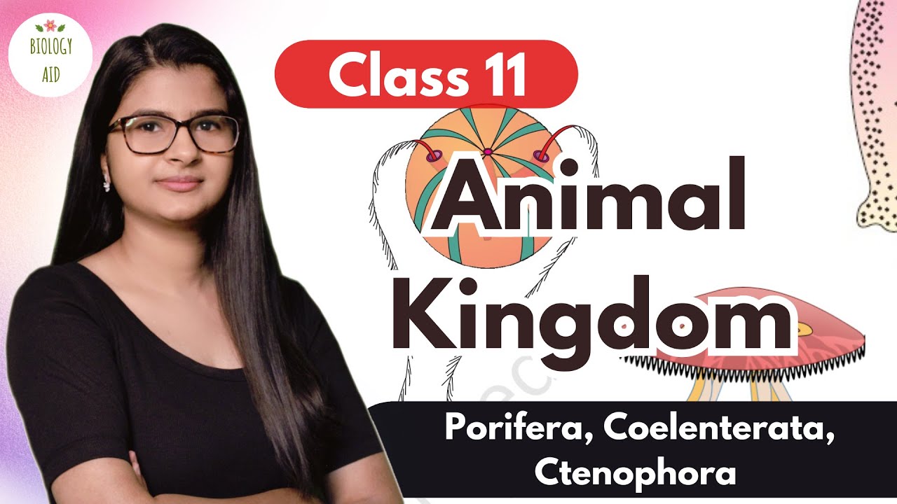 Class 11 || Animal Kingdom (Part 1)